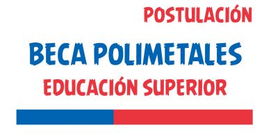 Beca Polimetales Educacion Superior