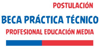 Beca Práctica Técnico Profesional Educación Media