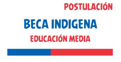 beca indigena educacion media