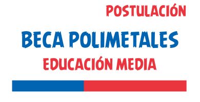 beca polimetales educacion media