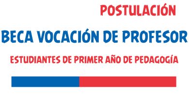 beca vocacion de profesor estudiantes de primer año de pedagogia