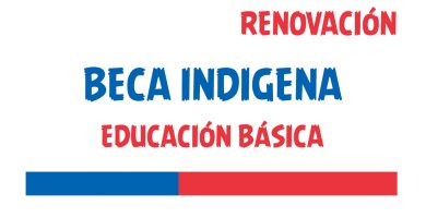 renovacion beca indigena educacion basica