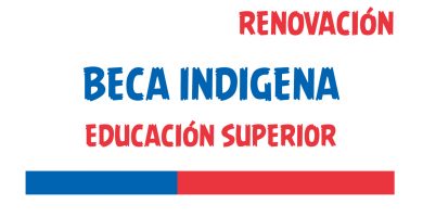 renovacion beca indigena educacion superior