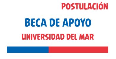 beca de apoyo universidad del mar postulacion
