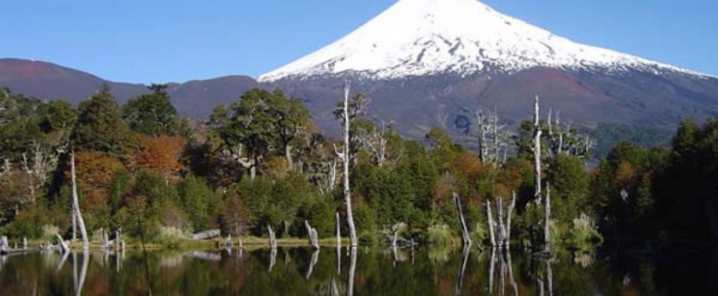 defensoria regional de la araucania