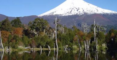 defensoria regional de la araucania