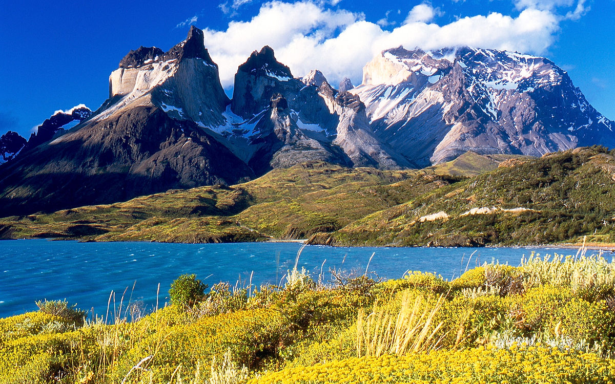 Defensoría Regional de Magallanes y de la Antártica Chilena